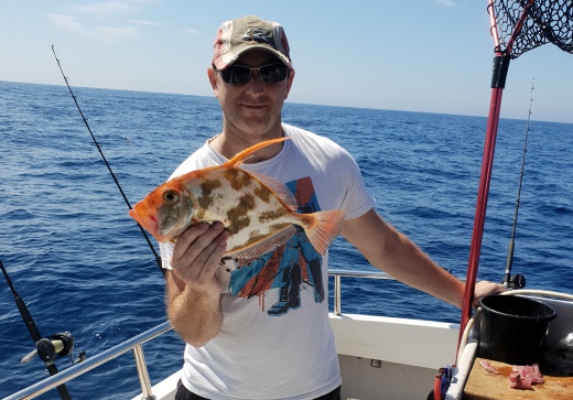 reef & game fishing charters terrigal central coast